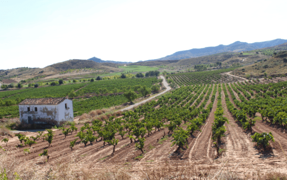 Screen Shot 2013-09-16 at 5.49.48 AM