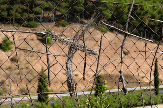 Screen Shot 2013-09-16 at 5.50.05 AM