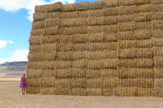 Screen Shot 2013-09-18 at 9.19.10 AM