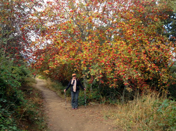 Screen Shot 2013-10-04 at 12.49.09 PM